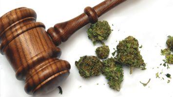 Malta: Bill for the Production of Cannabis for Medicinal Use