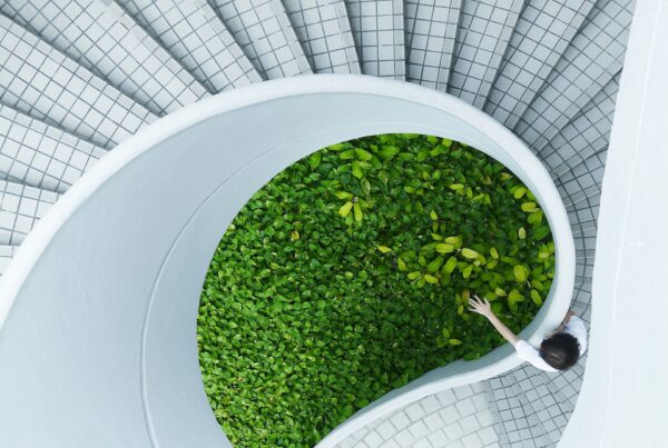 Sustainable Finance Week at Mamo TCV