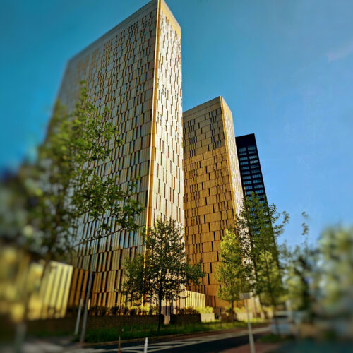 Highest EU Court in Luxembourg