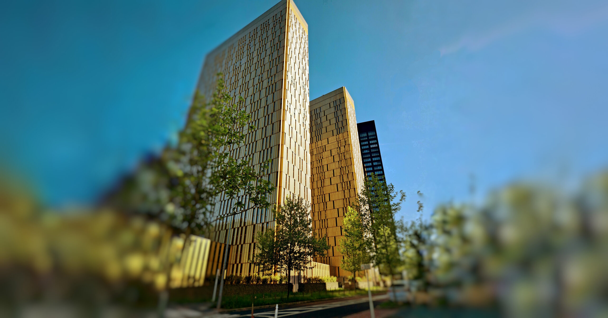 CJEU preliminary rulings as a path towards further investment law harmonisation