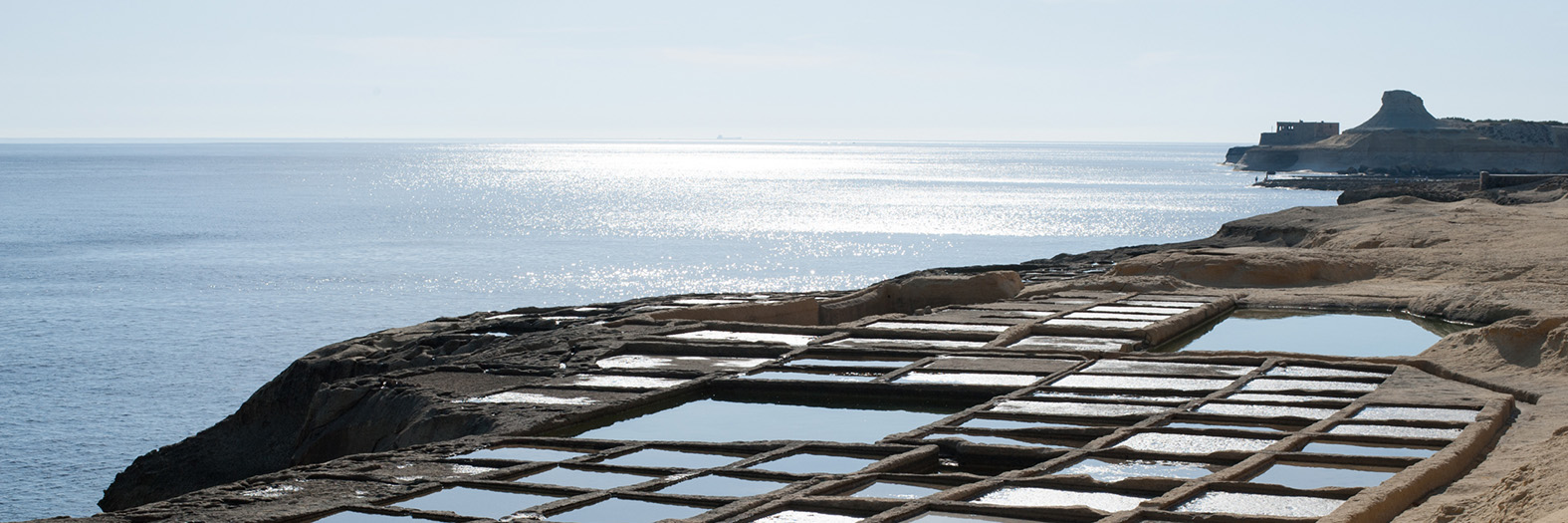 Mamo TCV Advocates Contributes to Mondaq’s Comparative Guide