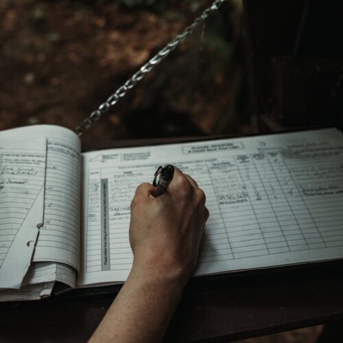 DORA reporting timelines